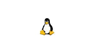 Come Modificare Permessi Attributi E Proprietari Dei File Su Linux