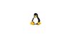 Cómo comprobar la versión del kernel en Linux