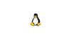 Получение размера каталога в Linux